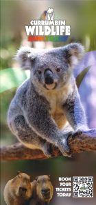 Currumbin Sanctuary DL 24