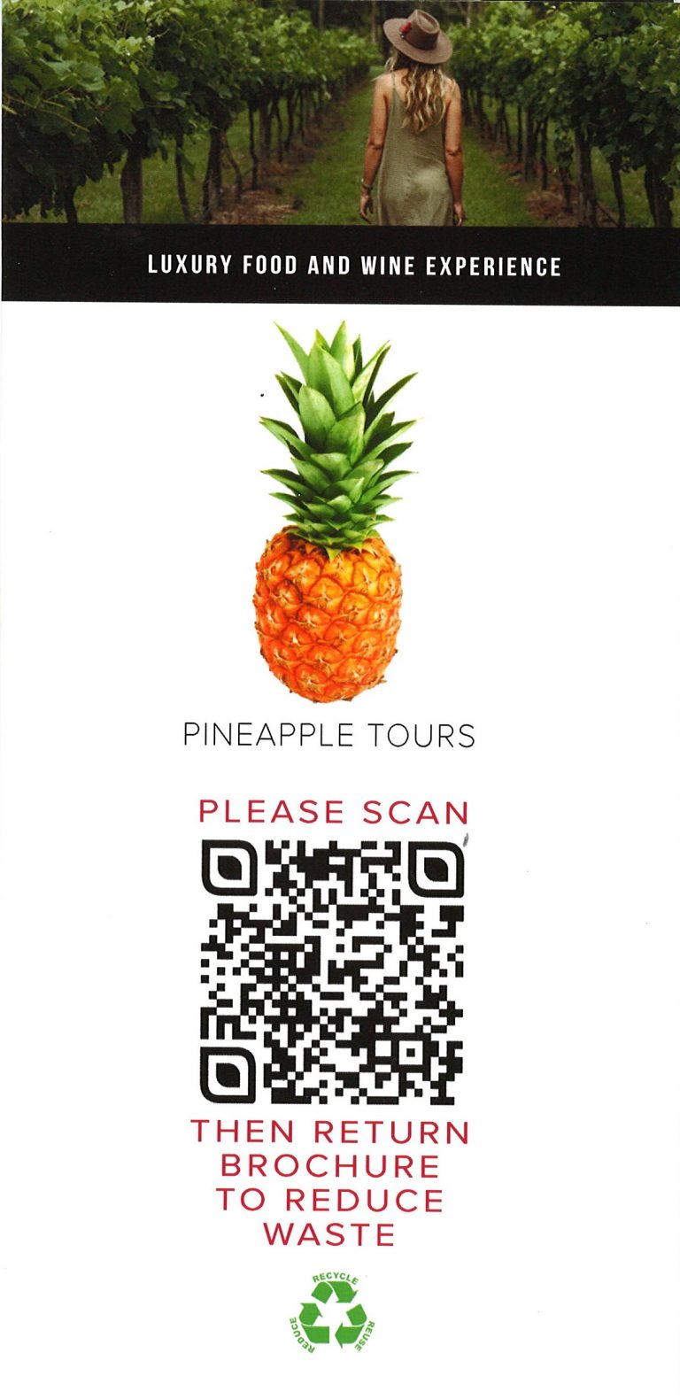 Pineapple Tours Surfers Paradise Brochure Service