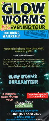 Scenic Glow Worm - New