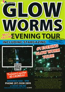Scenic Glow Worms 22