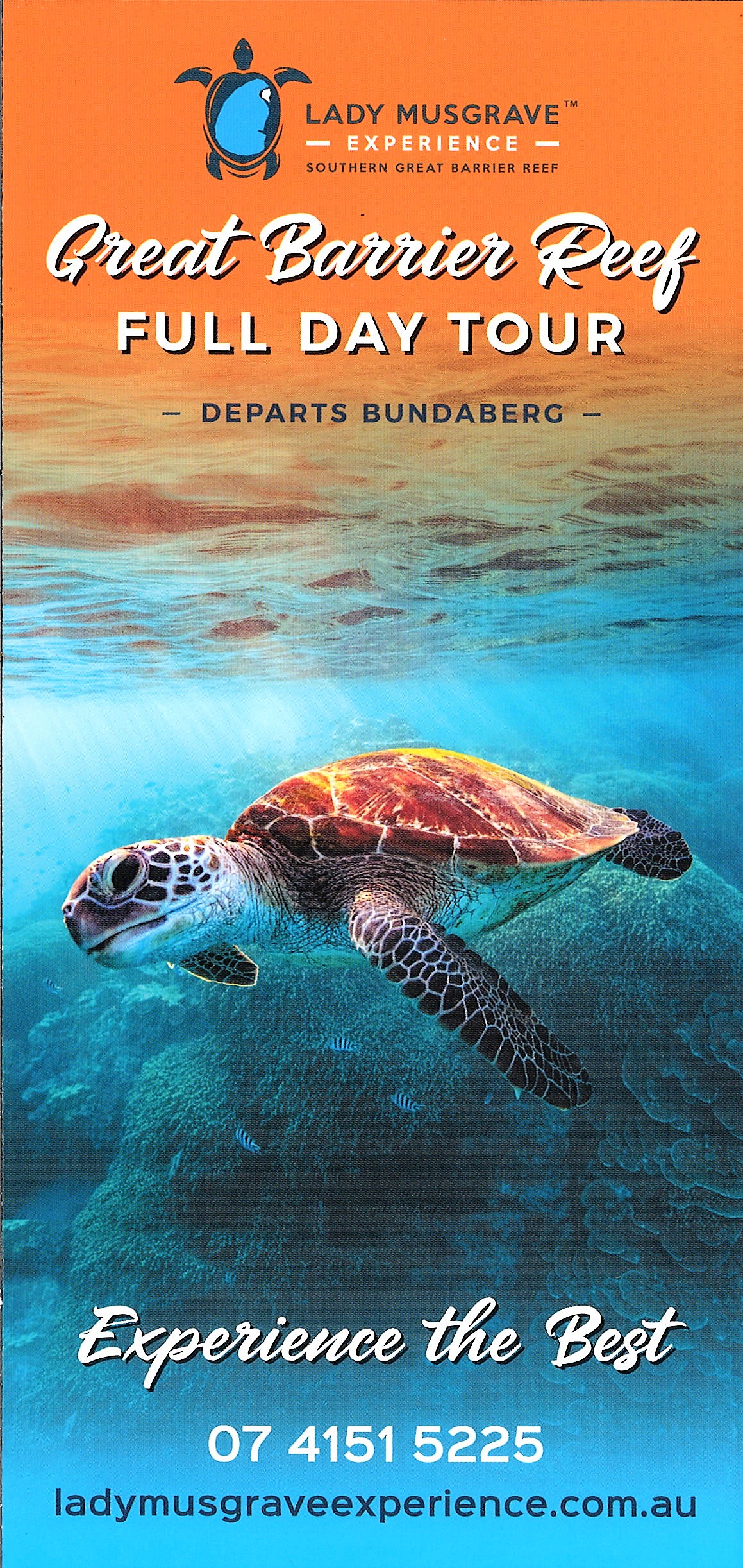 Lady Musgrave Experience Surfers Paradise Brochure Service