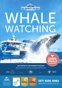 Sea World Whale Watching A4 24