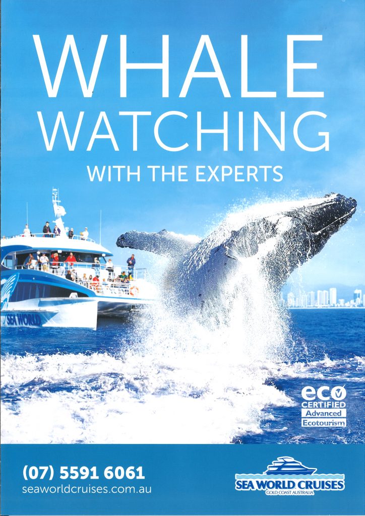 Sea World Whale Watch | Surfers Paradise Brochure Service