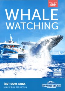 Seaworld Whale Watching 22