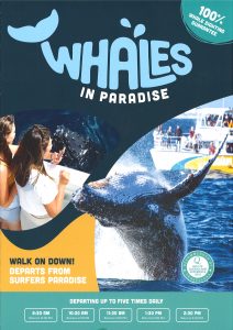Whales In Paradise 23