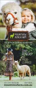Mountview Alpaca Farm 22