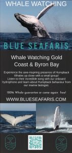 Blue Seafaris Whale Watching